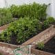 How to Make a Square Foot Organic Garden