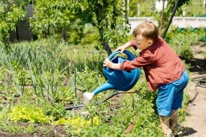 Learning When to Water Your New Vegetable Plants