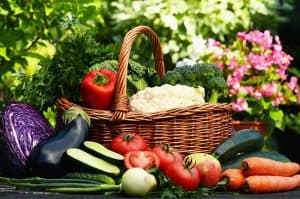 Tips for Organic Home Gardeners