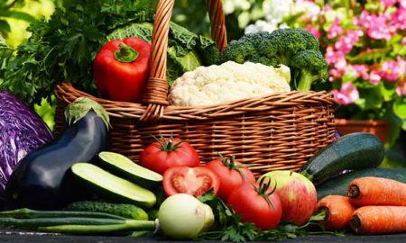 Tips for Organic Home Gardeners